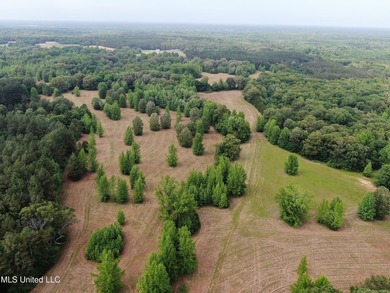 183+/- acres in northeast Tate County. A beautiful mixture of - photo 15