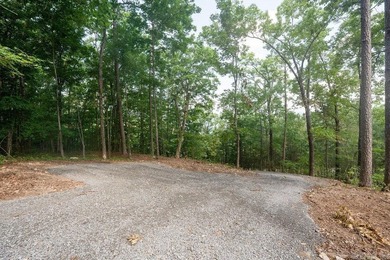 Build your dream lake retreat on this beautiful 14.5-acre - photo 16