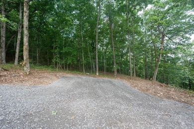 Build your dream lake retreat on this beautiful 14.5-acre - photo 17