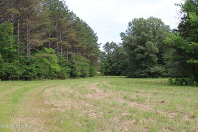 183+/- acres in northeast Tate County. A beautiful mixture of - photo 17