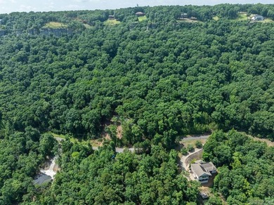 Build your dream lake retreat on this beautiful 14.5-acre - photo 18