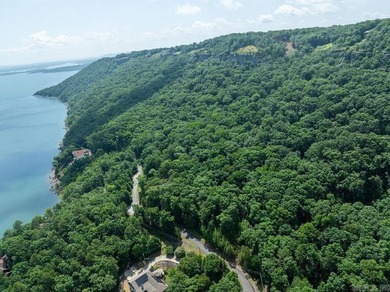 Build your dream lake retreat on this beautiful 14.5-acre - photo 19