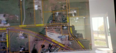 Eagle Mountain Lake Commercial For Sale in Reno Texas