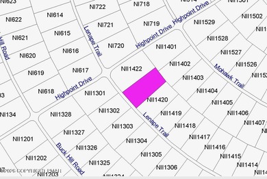 Indian Mountain Lakes Lot For Sale in Albrightsville Pennsylvania
