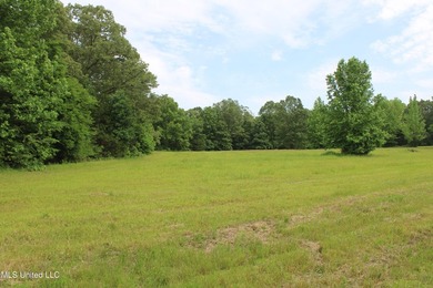 183+/- acres in northeast Tate County. A beautiful mixture of - photo 22