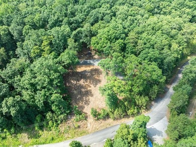 Build your dream lake retreat on this beautiful 14.5-acre - photo 24