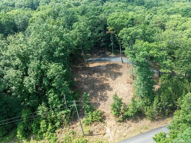 Build your dream lake retreat on this beautiful 14.5-acre - photo 25
