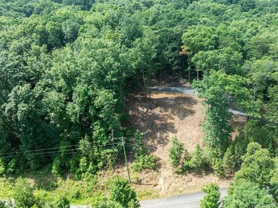 Build your dream lake retreat on this beautiful 14.5-acre - photo 26