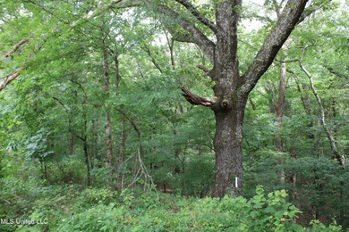 183+/- acres in northeast Tate County. A beautiful mixture of - photo 26