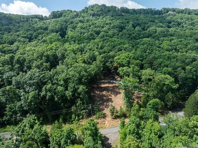 Build your dream lake retreat on this beautiful 14.5-acre - photo 27