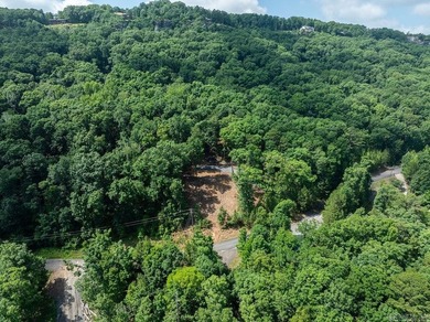 Build your dream lake retreat on this beautiful 14.5-acre - photo 28