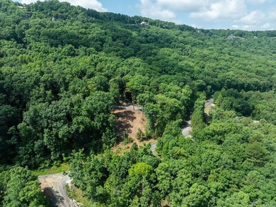 Build your dream lake retreat on this beautiful 14.5-acre - photo 29