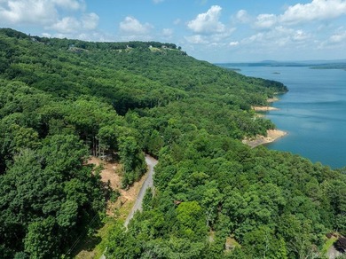 Build your dream lake retreat on this beautiful 14.5-acre - photo 30