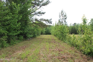 183+/- acres in northeast Tate County. A beautiful mixture of - photo 31