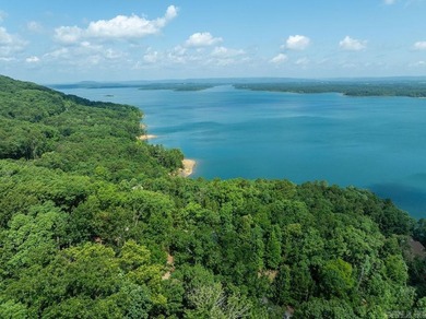 Build your dream lake retreat on this beautiful 14.5-acre - photo 32