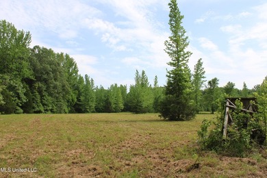 183+/- acres in northeast Tate County. A beautiful mixture of - photo 33
