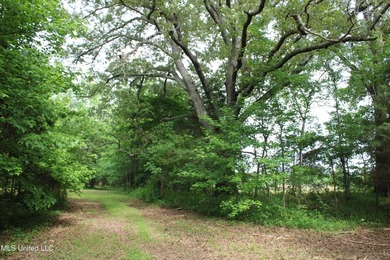 183+/- acres in northeast Tate County. A beautiful mixture of - photo 34
