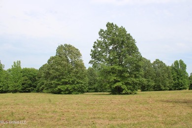 183+/- acres in northeast Tate County. A beautiful mixture of - photo 35