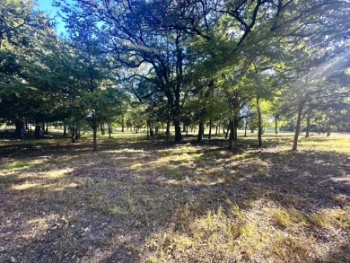Off Water Lake lot with Hugh Shade Tree Canopy - photo 10