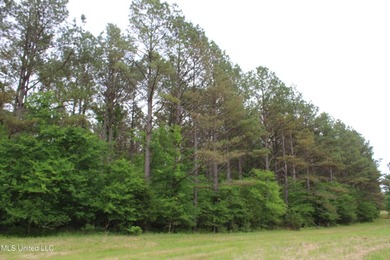 183+/- acres in northeast Tate County. A beautiful mixture of - photo 39