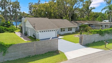 Lake Home For Sale in Land O Lakes, Florida