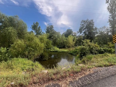 Lake Acreage For Sale in Bluffton, Arkansas