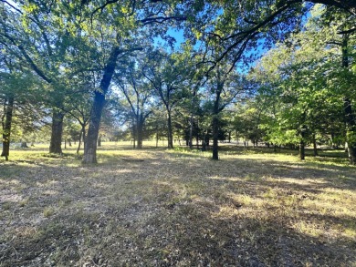 Off Water Lake lot with Hugh Shade Tree Canopy - photo 9