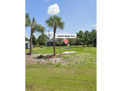Port Charlotte Waterway Area Lot For Sale in Port Charlotte Florida