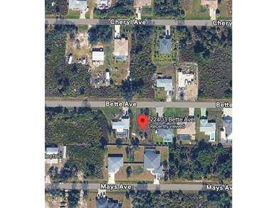 Build your dream home in one of Southwest Florida's growing - photo 2
