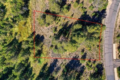 Located just beyond Jussilo Bow Pond, this exceptional estate - photo 12