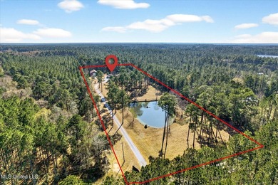 Enjoy privacy and space at this unique Gulfport property - photo 3