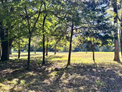 Off Water Lake lot with Hugh Shade Tree Canopy - photo 8