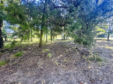 Off Water Lake lot with Hugh Shade Tree Canopy - photo 11
