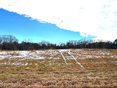 (private lake, pond, coastal) Lot For Sale in Hernando Mississippi