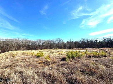 Incredible opportunity to own one of the best lots in the most - photo 3
