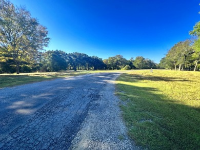 Off Water Lake lot with Hugh Shade Tree Canopy - photo 22