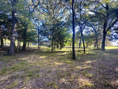 Off Water Lake lot with Hugh Shade Tree Canopy - photo 21