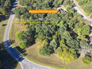 Off Water Lake lot with Hugh Shade Tree Canopy - photo 24