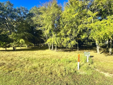 Off Water Lake lot with Hugh Shade Tree Canopy - photo 2