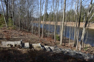 Smallwood Lake Lot For Sale in Gladwin Michigan