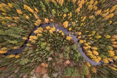Absolute serene paradise for the outdoor enthusiasts!! 64 acres - photo 6