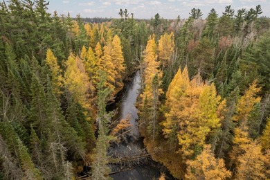 Absolute serene paradise for the outdoor enthusiasts!! 64 acres - photo 7