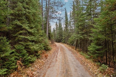 Absolute serene paradise for the outdoor enthusiasts!! 64 acres - photo 8
