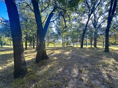 Off Water Lake lot with Hugh Shade Tree Canopy - photo 12