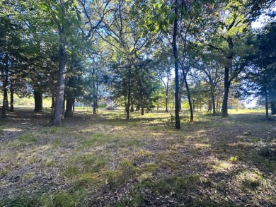 Off Water Lake lot with Hugh Shade Tree Canopy - photo 27