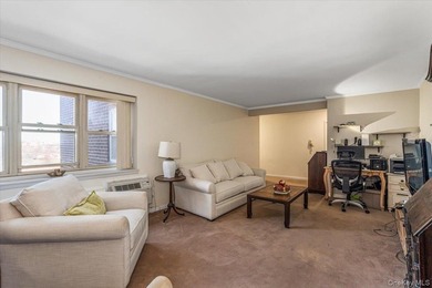 Owner Occupied, No Subletting, Spacious & Bright 2 Br & 1 Bath - photo 4