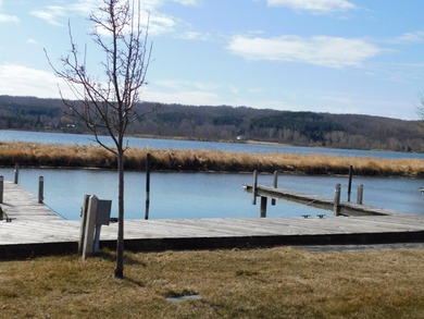 Lake Front community living with low expense on beautiful Lake - photo 6