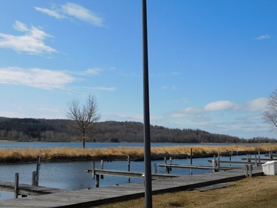 Lake Front community living with low expense on beautiful Lake - photo 7
