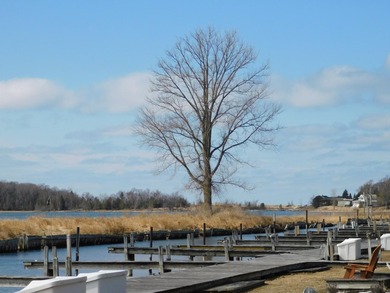 Lake Front community living with low expense on beautiful Lake - photo 8