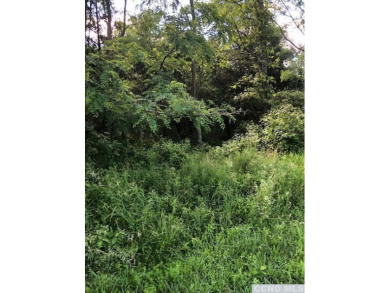 Lake Lot For Sale in Athens, New York